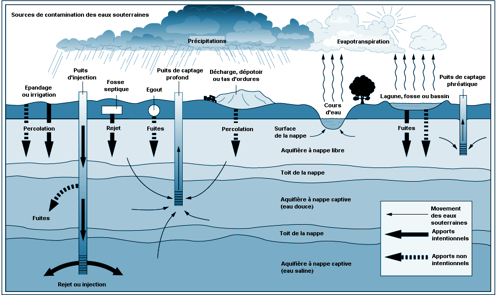 Figure 55.19