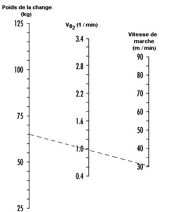 30223 panneau de liège de haute qualité 100 x 100 cm 8 mm