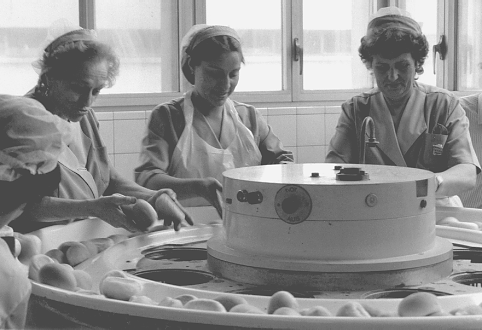 Gants De Four, 1 Paire De Gants Antidérapants Avec Trou De Corde Suspendu  Pour Four à Micro-ondes, Empêchent Le Coton épais Brûlé Pour La Cuisson Au  Four De Restaurant Blanc 