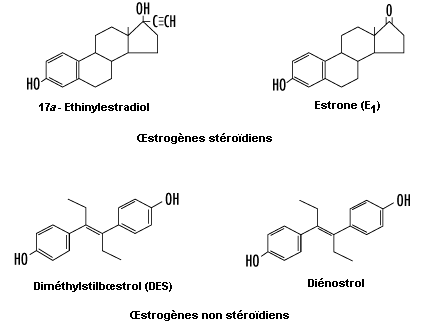 Hormones steroidiens