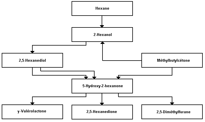 Figure 104.1